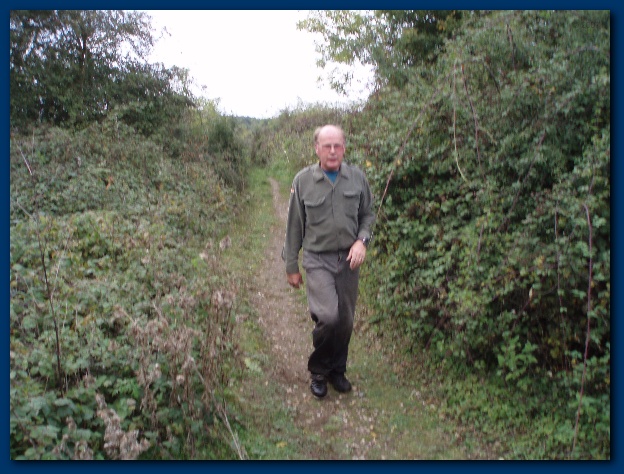 600x449 pixels (150K)